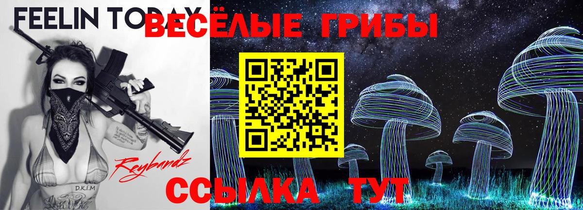 Гусиноозёрск  Псилоцибиновые грибы GOLDEN TEACHER  где найти наркотики  Вход с VPN  Псилоцибиновые грибы мицелий 